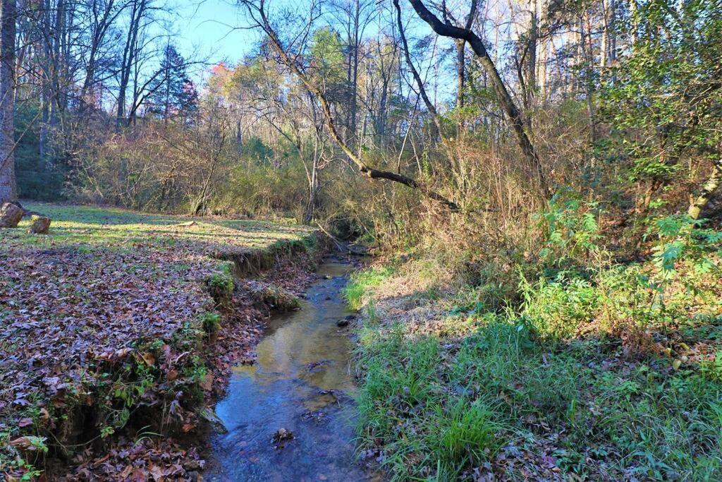 Cute Cabin Creek & Firepit #12 Helen Exterior foto